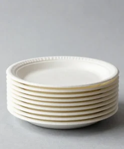 Everyday Paper Plates